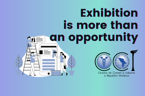 Exhibition activities of the CCI RM